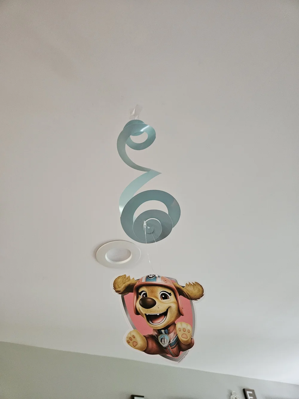 Paw Patrol Pink Skye Party Decor, Tableware, Plates, Napkins, And Favor Bags